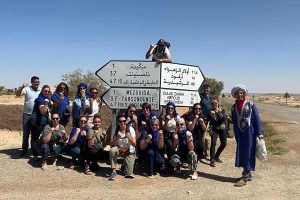 photo de groupe hirondelle de l atlas