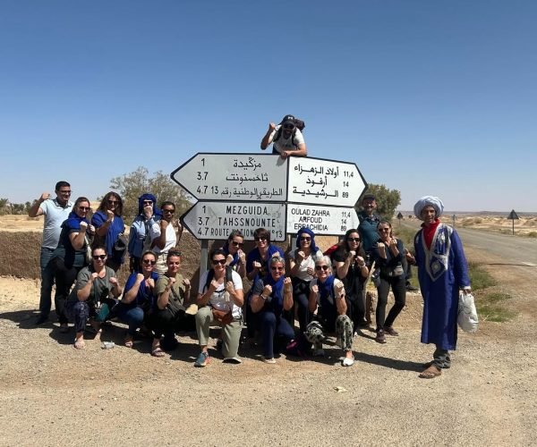photo de groupe hirondelle de l atlas